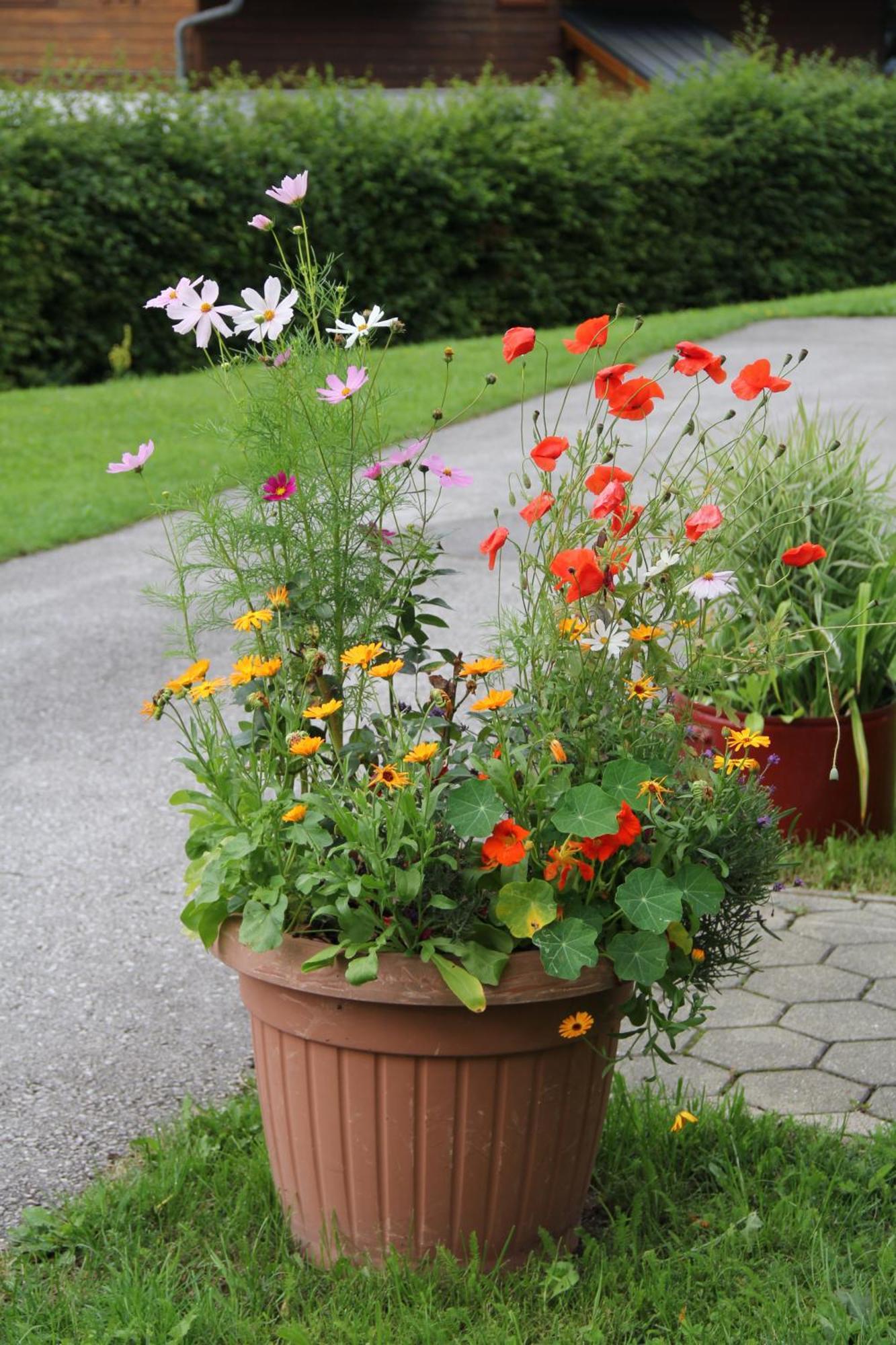 Ferienwohnung Grimmingblick - Auszeit Vom Alltag Obersdorf المظهر الخارجي الصورة